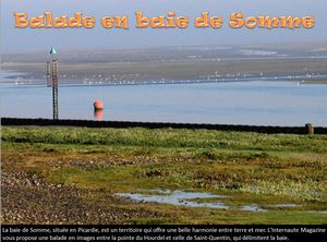 balade_en_baie_de_somme_pancho