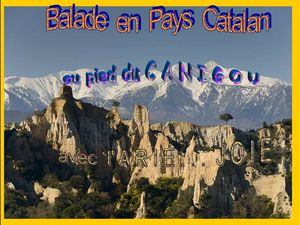 balade_pays_catalan_2_ariejoie