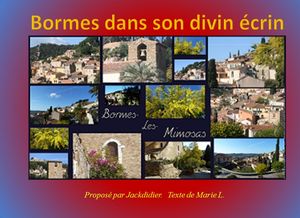 bormes_dans_son_divin_ecrin_jackdidier