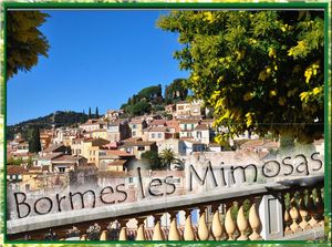 bormes_les_mimosas_by_alainchant93