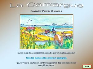 camargue_papiniel