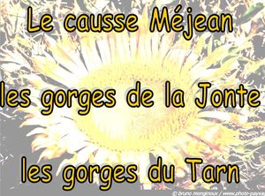 causse_mejean