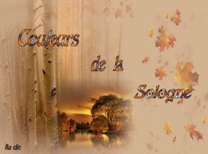 couleurs_de_la_sologne_dede_51