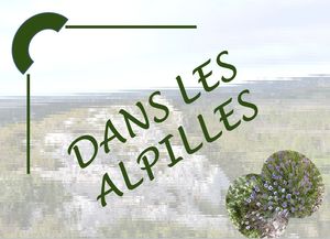 dans_les_alpilles_marijo