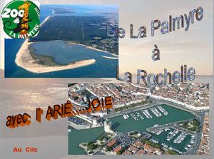 de_la_palmyre_a_la_rochelle_ariejoie