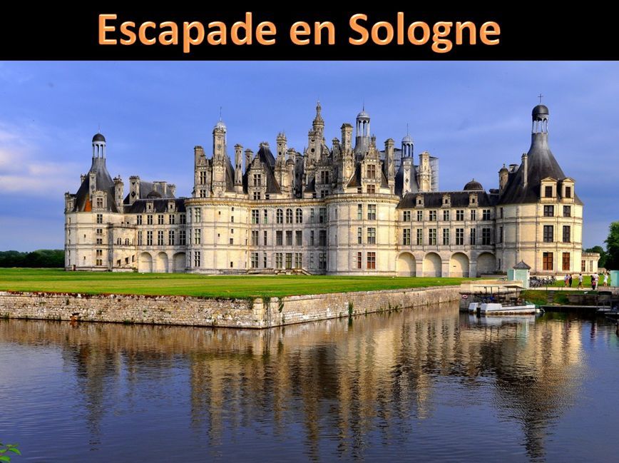 escapade_en_sologne_pancho