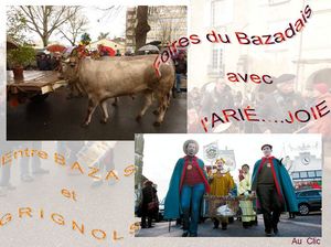 foires_du_bazadais_ariejoie