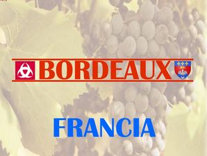 francia_bordeaux_et_pau