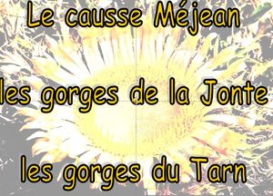 gorges_du_tarn