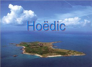 hoedic