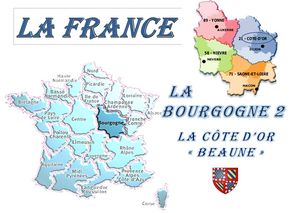 la_bourgogne_2_beaune_mimi_40