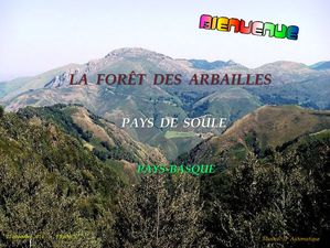 la_foret_des_arbailles__pays_de_soule_rick_jessie_64