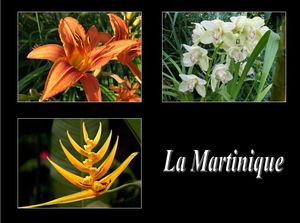 la_martinique_1