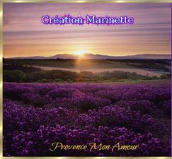 la_provence_des_champs_de_lavande_marinette