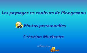 les_paysages_en_couleurs_de_plougasnou__marinette