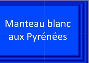 manteau_blanc