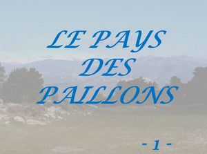 paillons_1_marijo