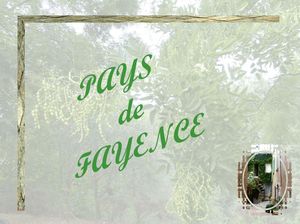 pays_de_fayence_marijo