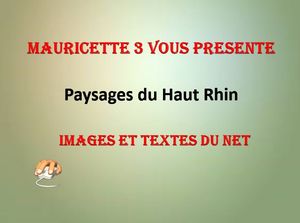 paysages_du_haut_rhin_mauricette3