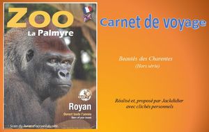 zoo_de_la_palmyre_jackdidier