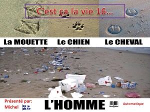 c_est_ca_la_vie_16_michel