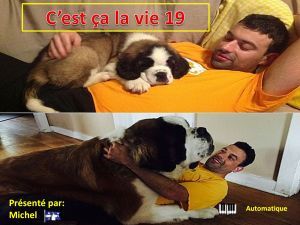 c_est_ca_la_vie_19_michel