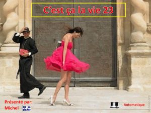 c_est_ca_la_vie_23_michel