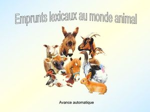 emprunts_lexicaux_au_monde_animal_papiniel