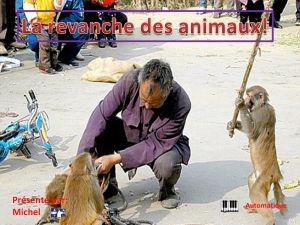 la_revanche_des_animaux_michel