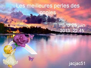 les_meilleures_perles_des_copies