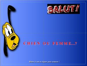 les_qualites_du_chien