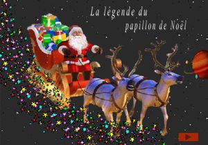 papillon_de_noel