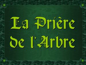 priere_de_l_arbre