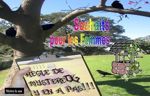 souhaits_pour_femmes_mystere_06