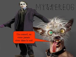 vivre_dans_le_sud_mystere_06
