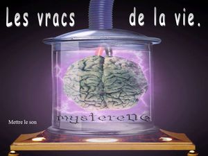 vracs_de_la_vie