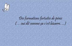 c_est_dans_la_tete_docteur_jeanclar