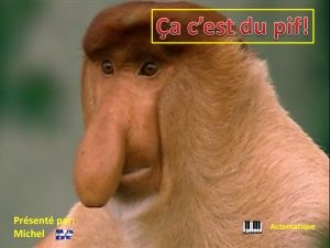 ca_c_est_du_pif_michel