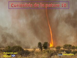 curiosites_de_la_nature_10_michel