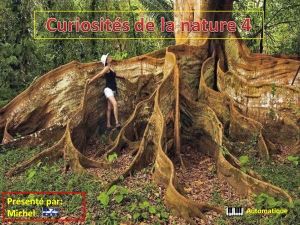 curiosites_de_la_nature_4_michel
