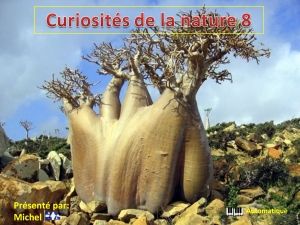 curiosites_de_la_nature_8_michel