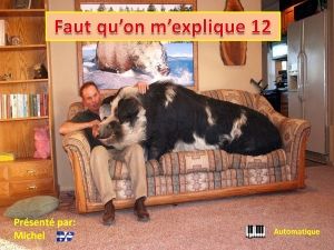 faut_qu_on_m_explique_12_michel