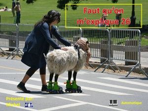 faut_qu_on_m_explique_26_michel