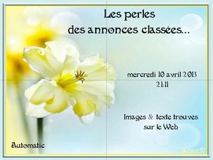 les_perles_des_annonces_classees