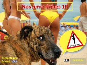 nos_amis_droles_10_michel