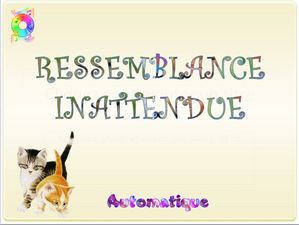 ressemblance_inattendue_chantha