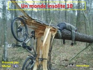 un_monde_insolite_10_michel