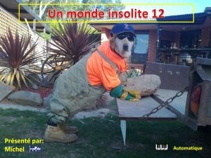un_monde_insolite_12_michel