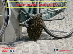 un_monde_insolite_13_michel