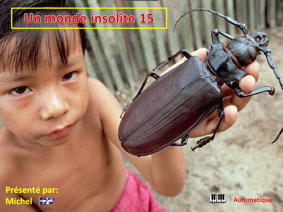 un_monde_insolite_15_michel